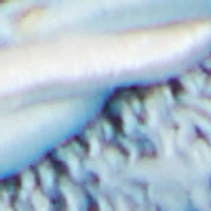Nalani - Image 8