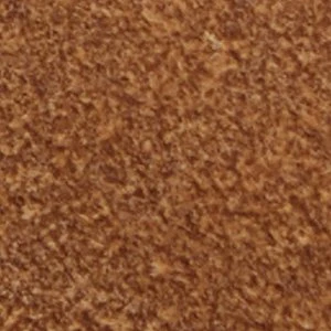 Nathaniel - Image 9