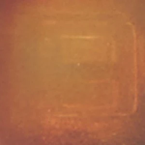 Nellyyex - Image 3