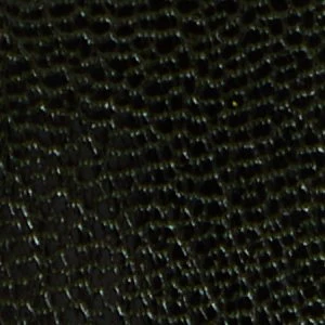 Nevada - Image 7