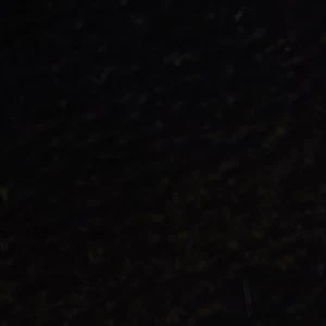 Norelle - Image 8