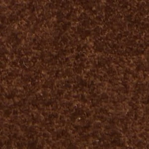 Notorious - Image 10