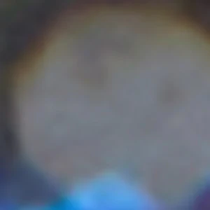 Nymira - Image 3