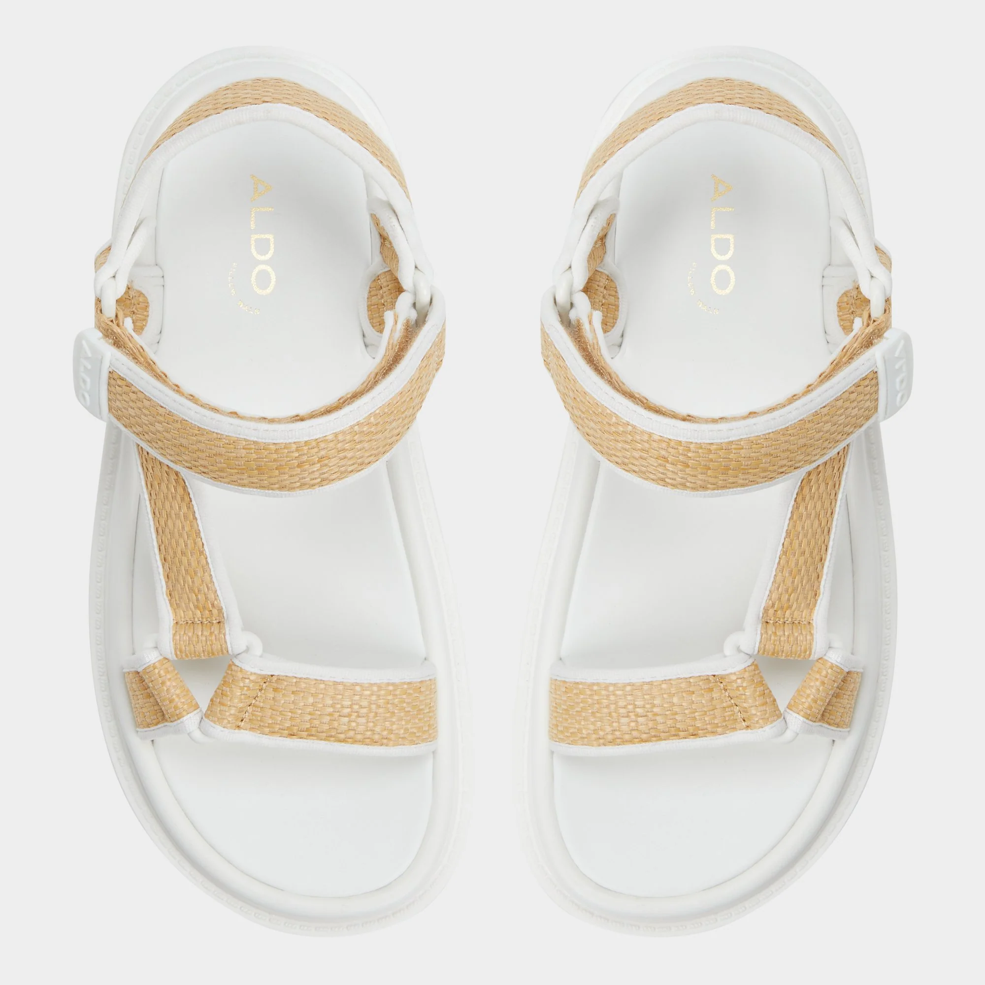 Oceana - Image 6