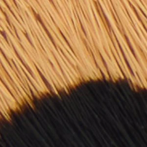 Ophira - Image 3