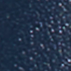 Palmera - Image 5