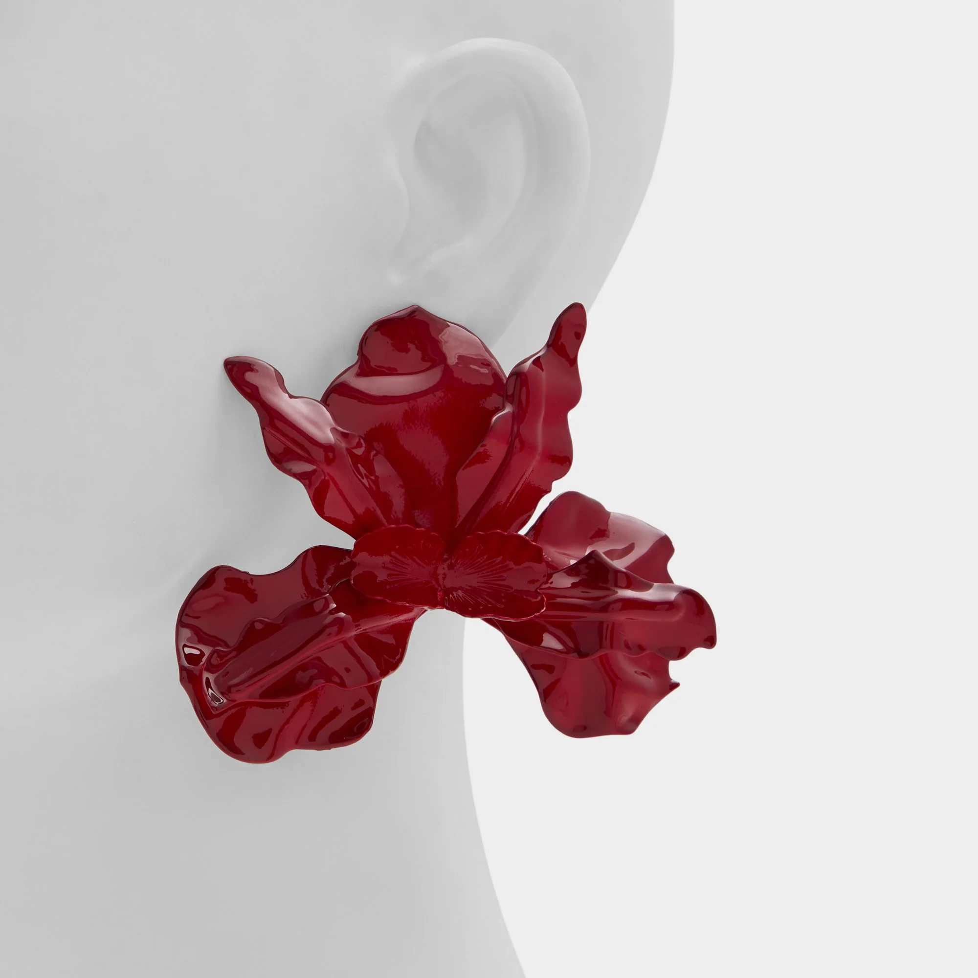 Paradisia - Image 2