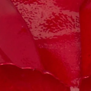 Paradisia - Image 3