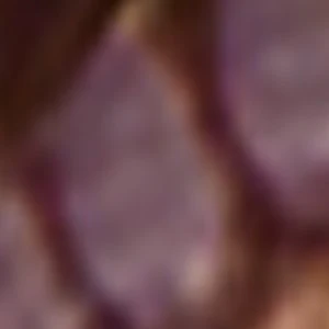 Pattina - Image 3