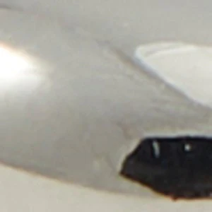 Peameth - Image 3