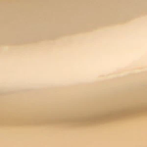 Peamethmini - Image 3