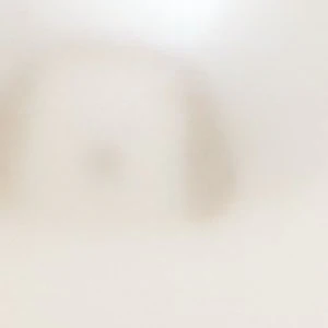 Pearlita - Image 2