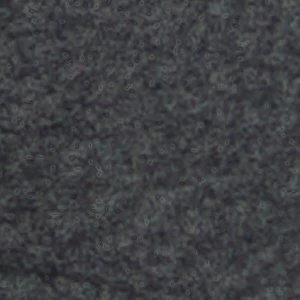 Pedro - Image 8