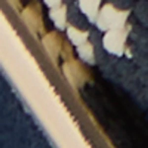 Penelopy - Image 8