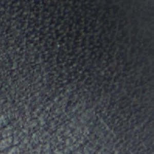Philippa - Image 7