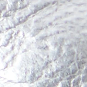 Prima - Image 7