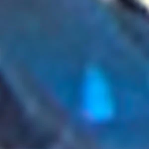 Protrectra - Image 3
