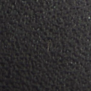 Raneldar - Image 9
