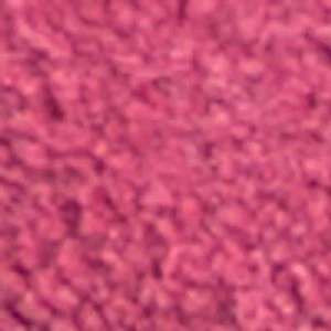 Retrostep - Image 8