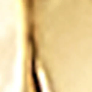 Rhedridus - Image 2