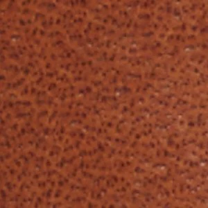 Ricio - Image 9