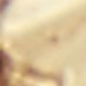 Rilara - Image 3
