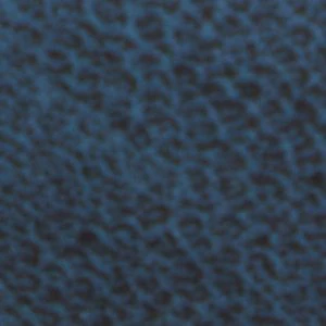 Robie - Image 8