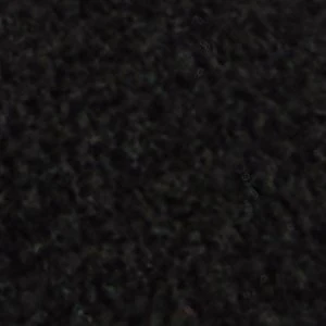 Roscoe - Image 9