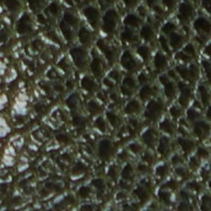 Saddle-wc - Image 7