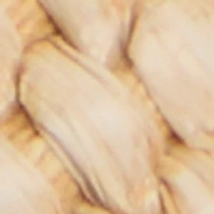 Seawind - Image 9