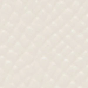 Shahiraa - Image 5