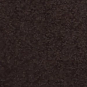 Shayn - Image 9