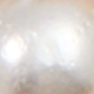 Shinesie - Image 3