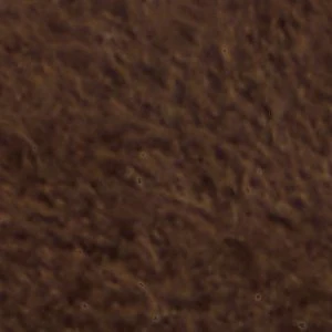Skipp - Image 7