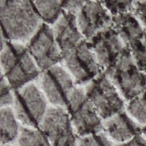 Smolder - Image 8