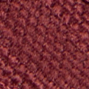 Starrla - Image 7