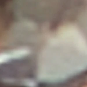 Sunrdige - Image 3