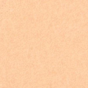 Tan Foam Instep Cushions - Image 2