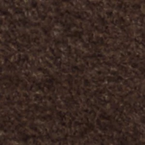 Tayloria - Image 8