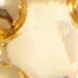Teddyy - Image 3