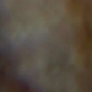 Theos - Image 2