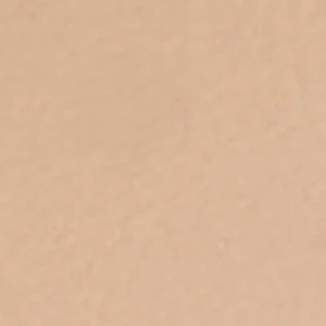 Tidella - Image 8