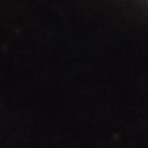 Timothee - Image 3