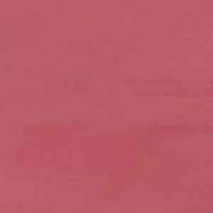 Tinsletta - Image 8
