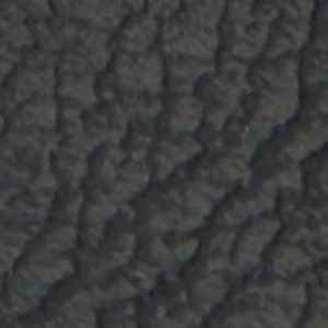 Toddy - Image 9