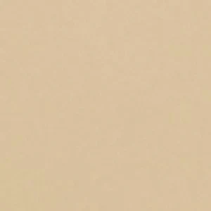 Triral - Image 3