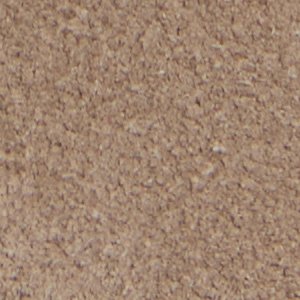 Vargas - Image 10