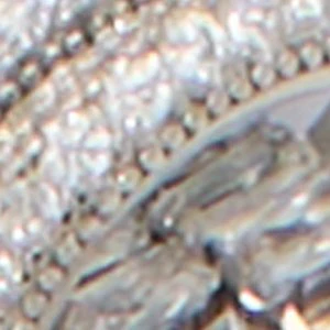Venomarra - Image 3