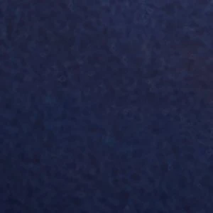 Vestian - Image 7