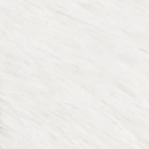 Viviania - Image 8
